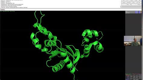 Image result for PyMOL Demo