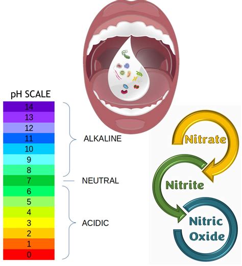 Acidic Morning Saliva Is Bad For Systemic Health - Herd Healthcare