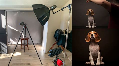 Basic Studio Portrait Setup 的图像结果