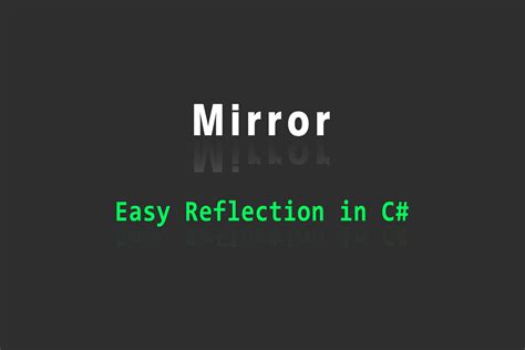 Reflection in C# Tutorial 的图像结果