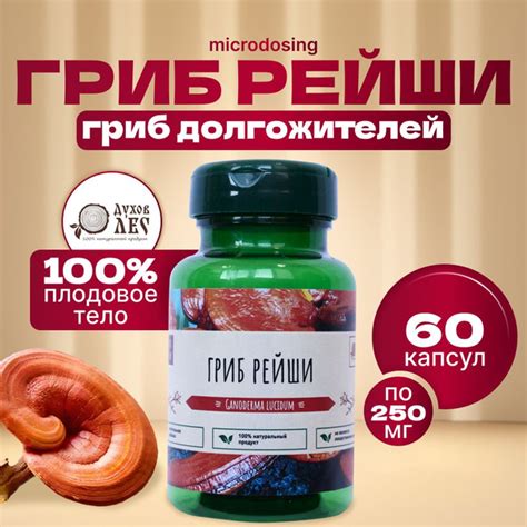 Гриб Рейши (Линчжи) 60 капсул по 250 мг - купить с доставкой по ...