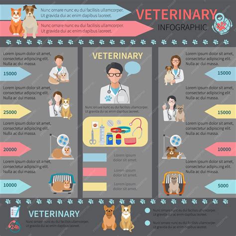 Free Vector | Veterinary infographic set