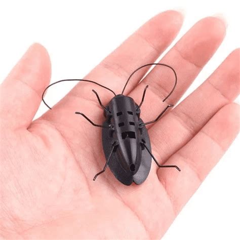 Buy Educational Black Cockroach Bug Toy Online in India | Robocraze