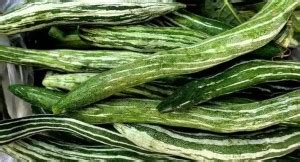 Avysa Snake Gourd/Chichinda/चिचिण्डा Seed Price in India - Buy Avysa ...