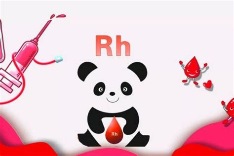 熊猫血(rh阴性血)是什么血型 有什么特点_试管婴儿百科-试管邦