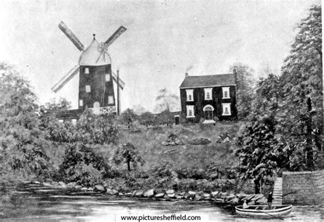 Searching Picture Sheffield