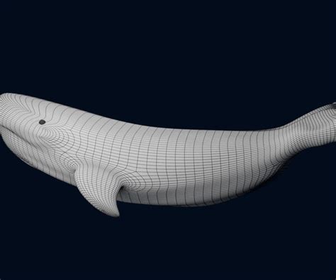 Image result for Whale 3D Tutorial SolidWorks
