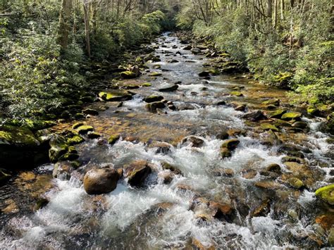 Image result for River Table Project