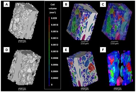 Lyophilized Polyvinylpyrrolidone Hydrogel for Culture of Human Oral ...