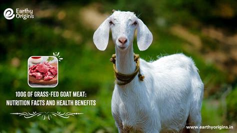 100g of Grass-Fed Goat Meat: Nutrition Facts & Benefits