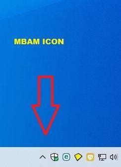 Image result for MBAM Client Icon