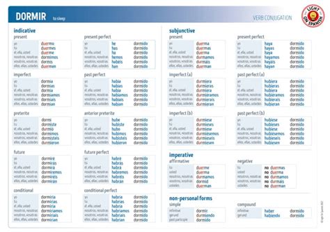 Spanish Verbs DORMIR Illustrated Conjugation Charts by Light On Spanish