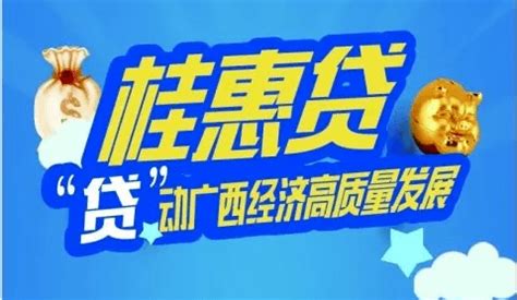 大化县财政局推进“桂惠贷”政策实施 助力经济高质量发展_企业