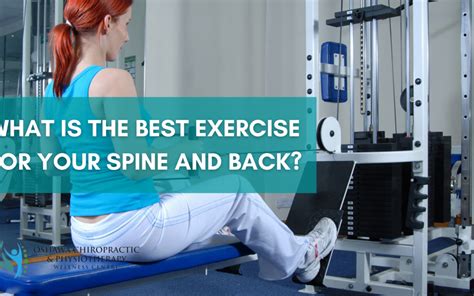 Image result for Multifidus Exercises