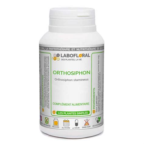 Orthosiphon/ Ортосифон (котешки мустачки) 275 mg x 50 капсули - ОНЛАЙН ...