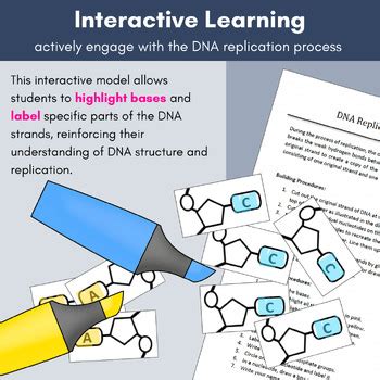 Image result for How to Make DNA Complementary Strands