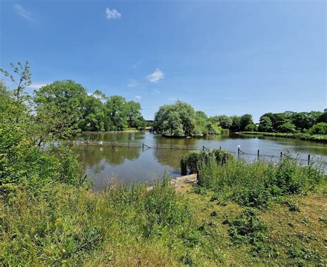 BARROW PARK (2025) All You Need to Know BEFORE You Go (with Photos ...