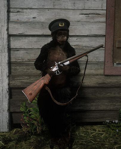 Fivem Monkey Spawn Code 的图像结果