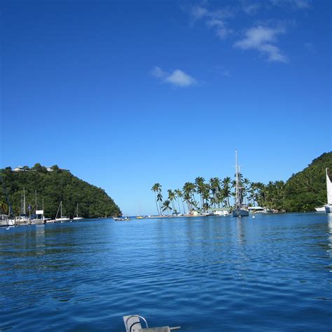 SIMON SAY'S TOURS Guide (2026) All You Need to Know BEFORE You Go (with ...