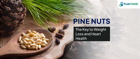 Health Benefits Pine Nuts Four Interesting Facts About Pine Nuts