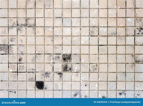 Brown floor tile dirty stock photo. Image of ceramic - 42840320