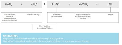 Zodiac Hydroxinator iQ Tuz-Klor Jeneratörü