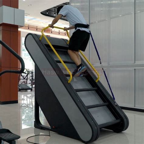 Image result for Ladder Workout Machine