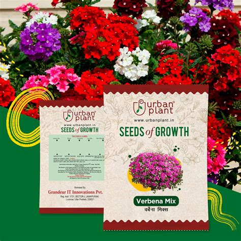 Buy Flower Seeds Online India - Fresh, High-Quality Gardening Seeds ...