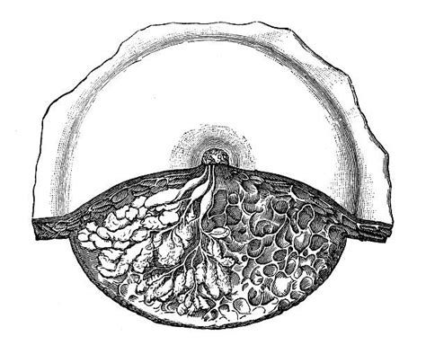 Bing Ai Art Mammary 的图像结果