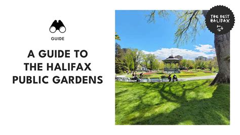 Understanding Halifax’s Population Statistics and Shifts