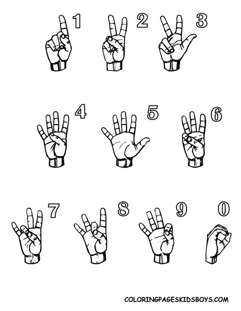 Image result for Explaining Sign Numbers