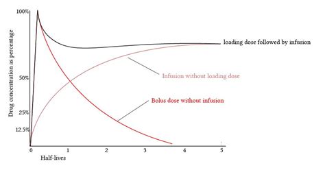 Image result for Loading Dose Equation