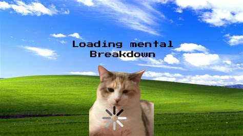 silly cat wallpaper (laptop version) *mine don't repost* em 2025 ...