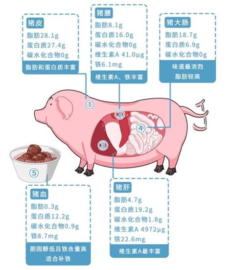 五花肉是猪的哪一块，跟里脊肉比价格怎么样？ - 知乎