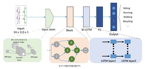 HARNAS: Human Activity Recognition Based on Automatic Neural ...