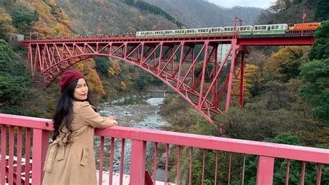 Local Train Japan 的图像结果