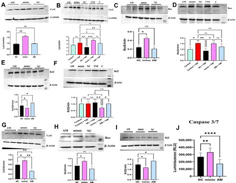 Functional Significance of miR-4693-5p in Targeting HIF1α and Its Link ...