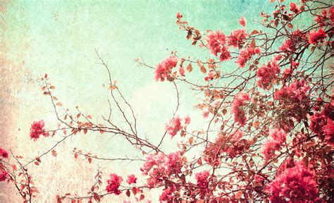 Archive Background Background Background Background Background Background Background Aesthetic