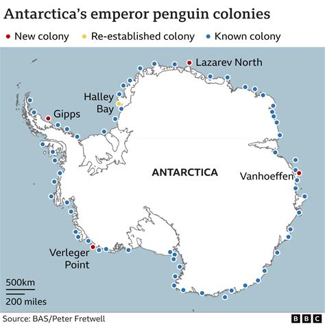 Climate change: Four new emperor penguin groups found by satellite