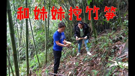 小莫进到深山挖竹笋，一根比一根大，这样的竹笋你家乡有吗_腾讯视频