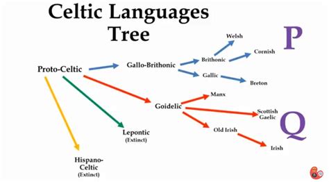 Celtic Languages Tree | Language history