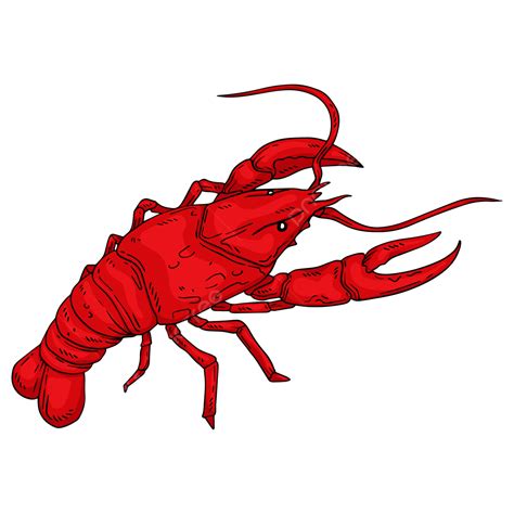 Crawfish Clip Art Graphics Crawfish Cartoon Cute Character