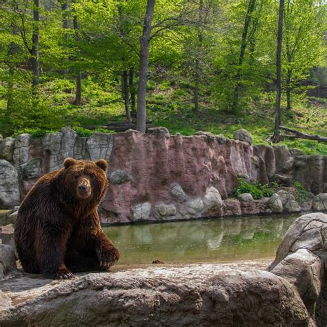 The 5 Best Things to do in Bear Mountain State Park NY