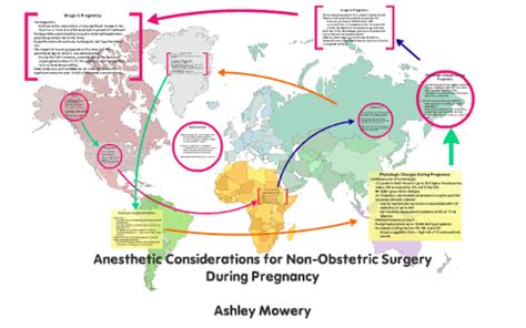 Anaesthesia in Early Pregnancy 的图像结果