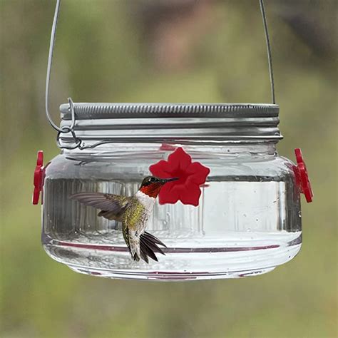 Amazon.com : Mason Jar Hummingbird Feeder with 4 Ports, Outdoor Yard ...