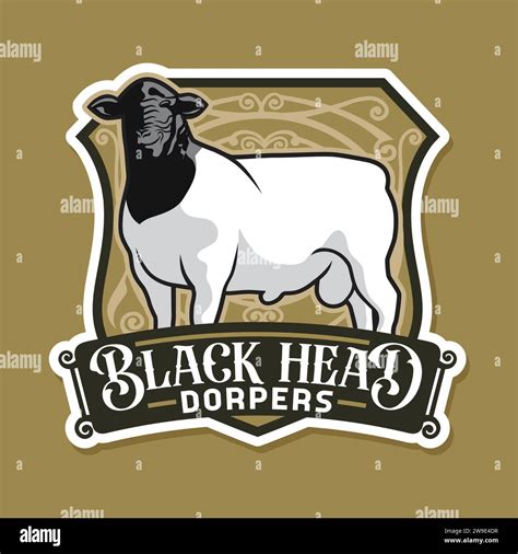 Dorper Sheep Logo Design Vintage Stock Vector Image & Art - Alamy
