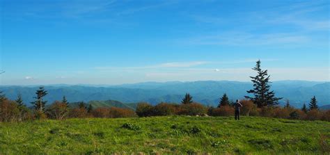 Newfound Gap Tn Weather