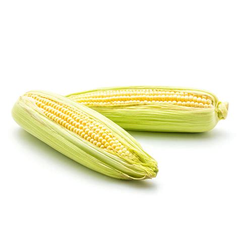 Shop Sweetcorn Seeds Online | Get 2 Free Seed Samples With Every Order