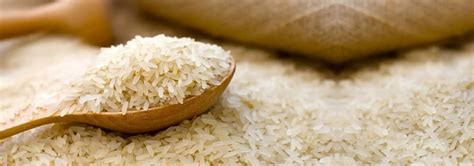 Exporters in India | International Business Consultant