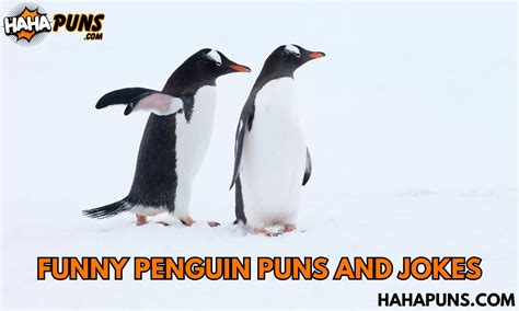 135+ Funny Penguin Puns And Jokes